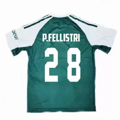 ΠΑΝΑΘΗΝΑΙΚΟΣ ΑΝΔΡΙΚΗ ΜΠΛΟΥΖΑ ΠΟΔΟΣΦΑΙΡΟΥ 2025-26 P.FELLISTRI