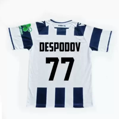 ΠΑΟΚ DESPODOV ΑΝΔΡΙΚΗ ΜΠΛΟΥΖΑ ΠΟΔΟΣΦΑΙΡΟΥ 2025-26