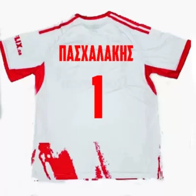 ΟΛΥΜΠΙΑΚΟΣ ΠΑΣΧΑΛΑΚΗΣ ΑΝΔΡΙΚΗ ΜΠΛΟΥΖΑ ΠΟΔΟΣΦΑΙΡΟΥ ΕΚΤΟΣ 2025-2026