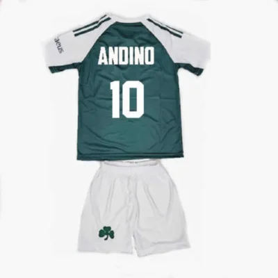 ΣΕΤ ΠΟΔΟΣΦΑΙΡΟΥ ΠΑΙΔΙΚΟ ΠΑΝΑΘΗΝΑΙΚΟΣ ANDINO ΕΚΤΟΣ ΠΡΑΣΙΝΗ 2025-26